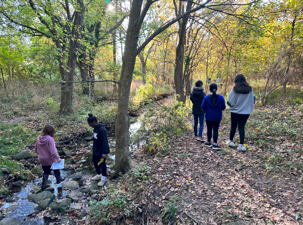 students; science; nature; leaves; sixth grade