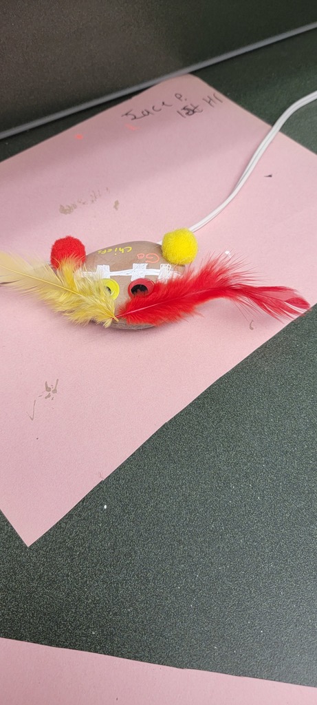 Student painting rocks