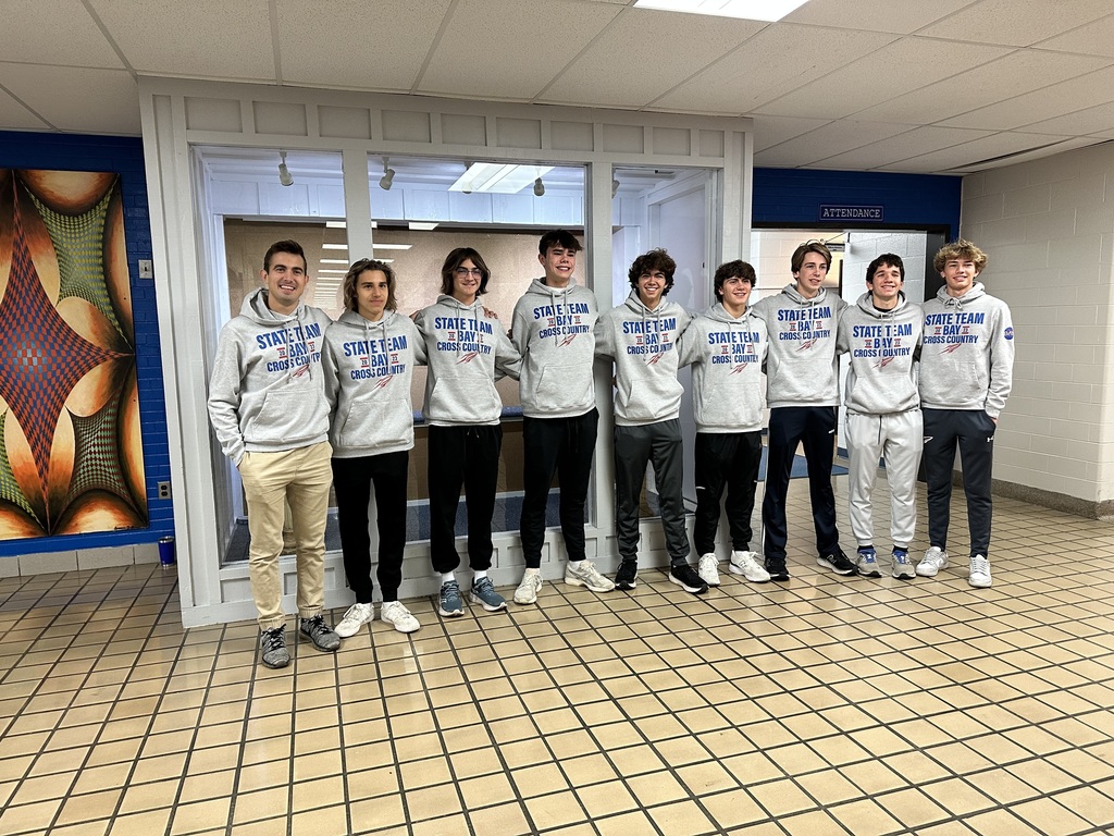 Boys Cross Country State Team photo