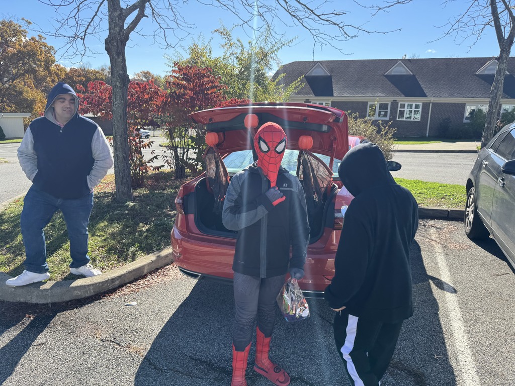 Spiderman costume