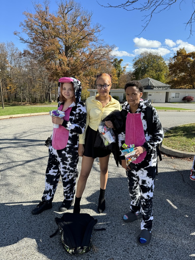 Cow costumes