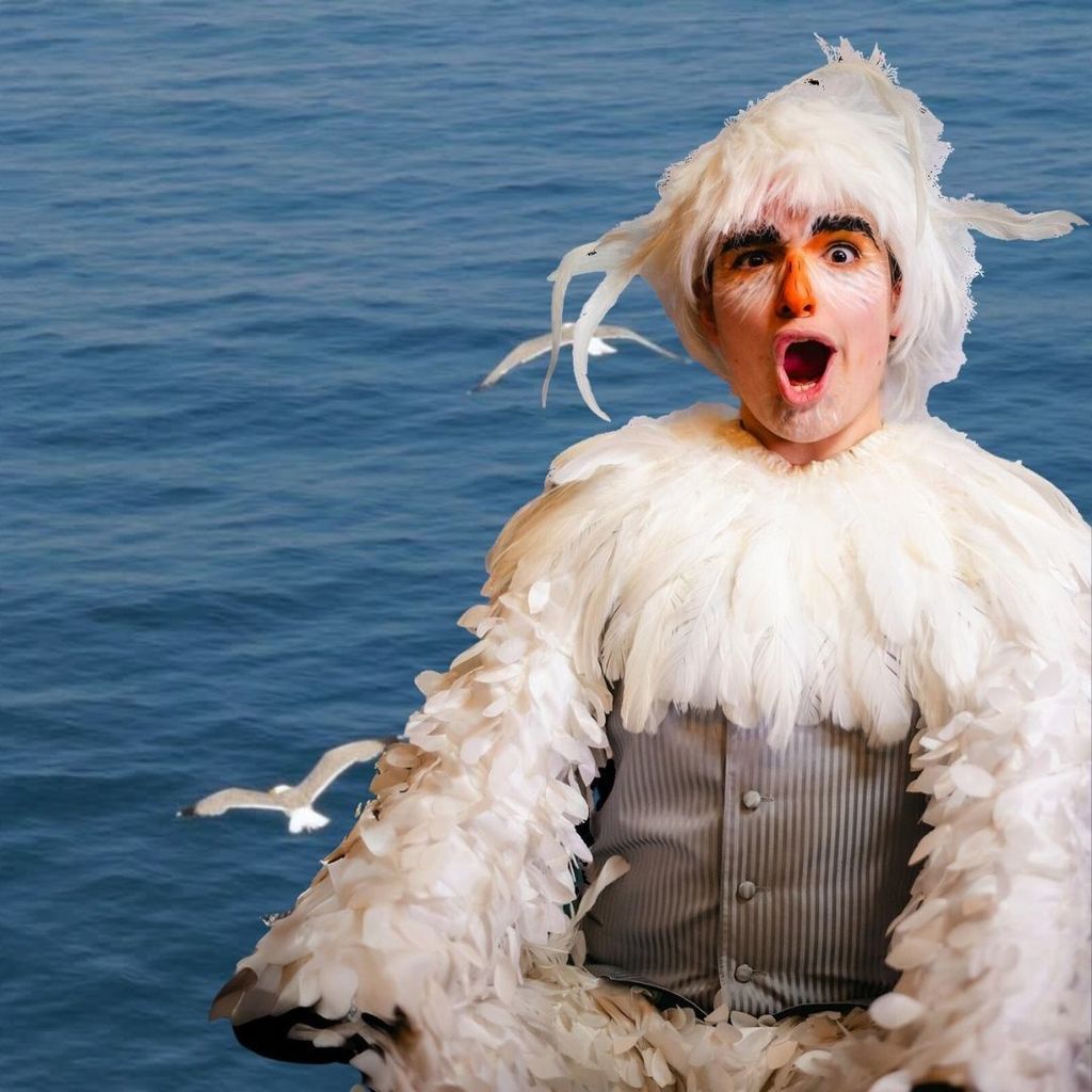 kid in seagull costume