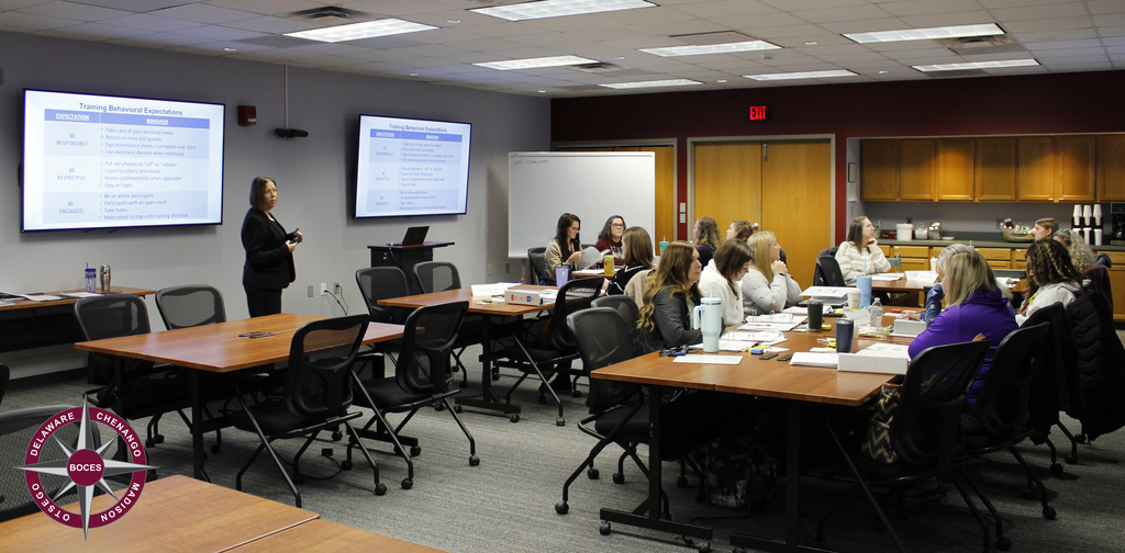 Gretchen Jones presents to a room full of educational professionals at a workshop