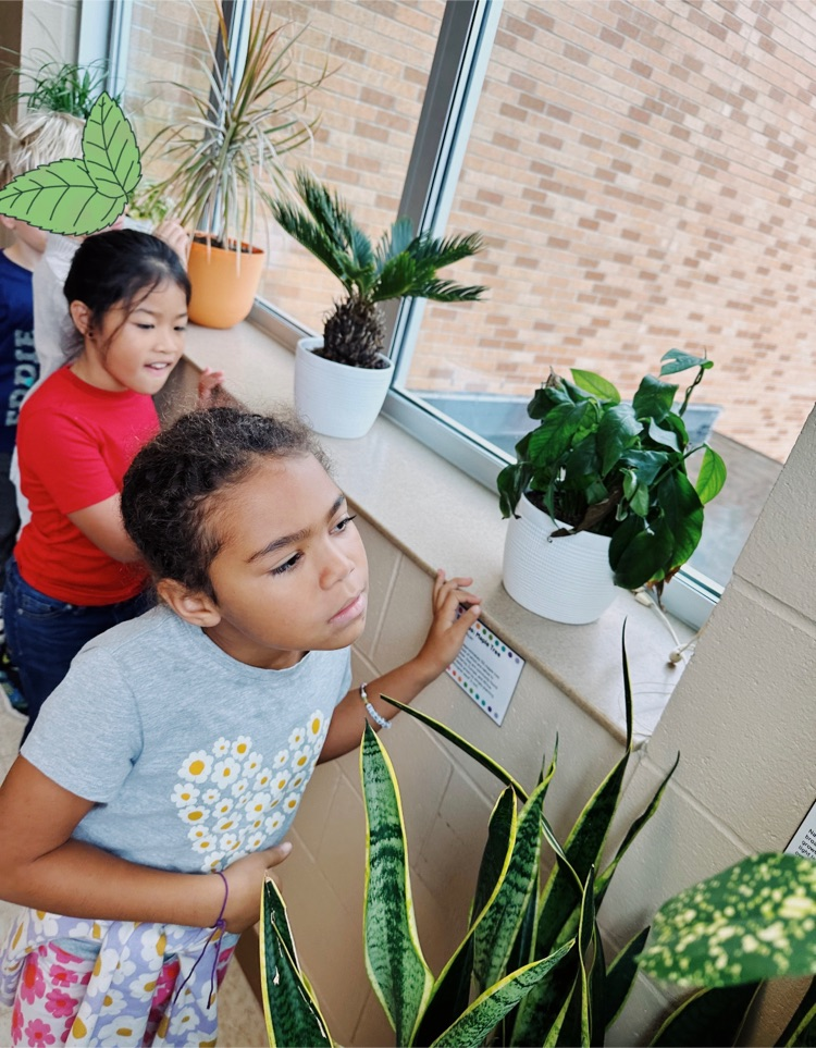 students observing the nature museum