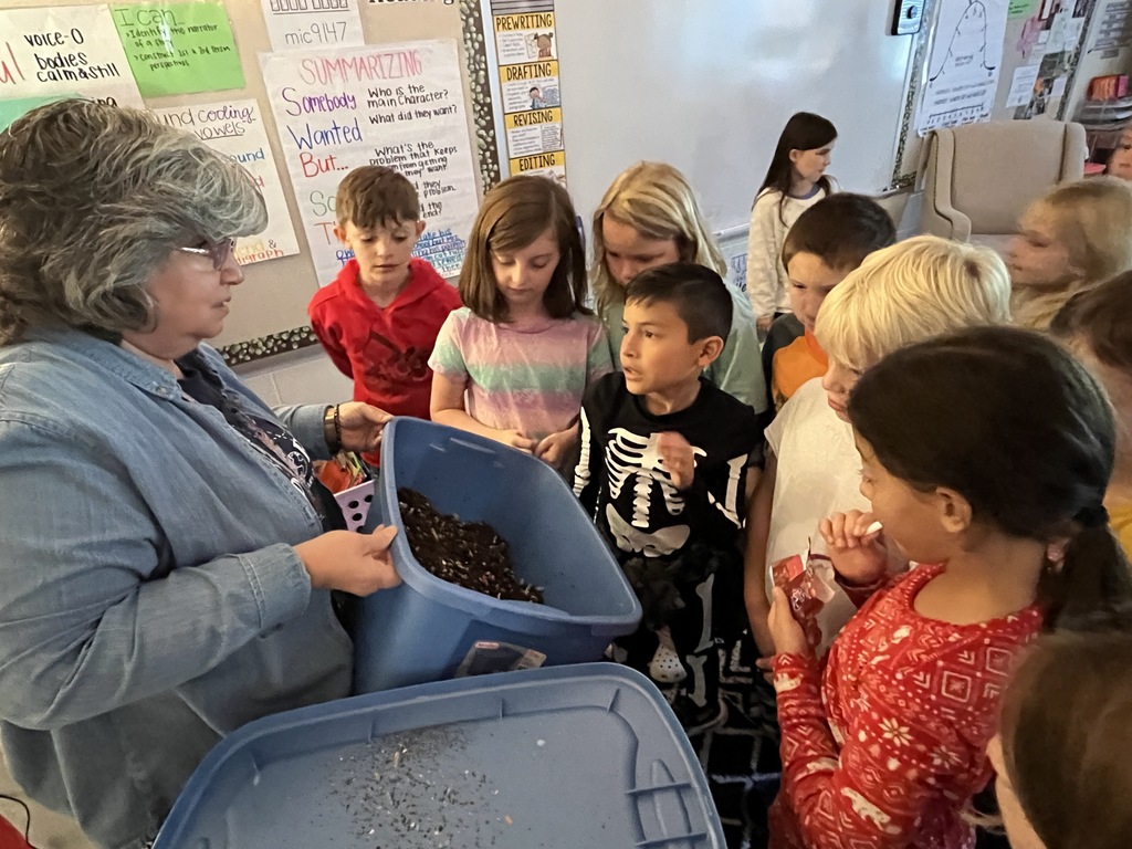 An adult shows students how worm composting works.