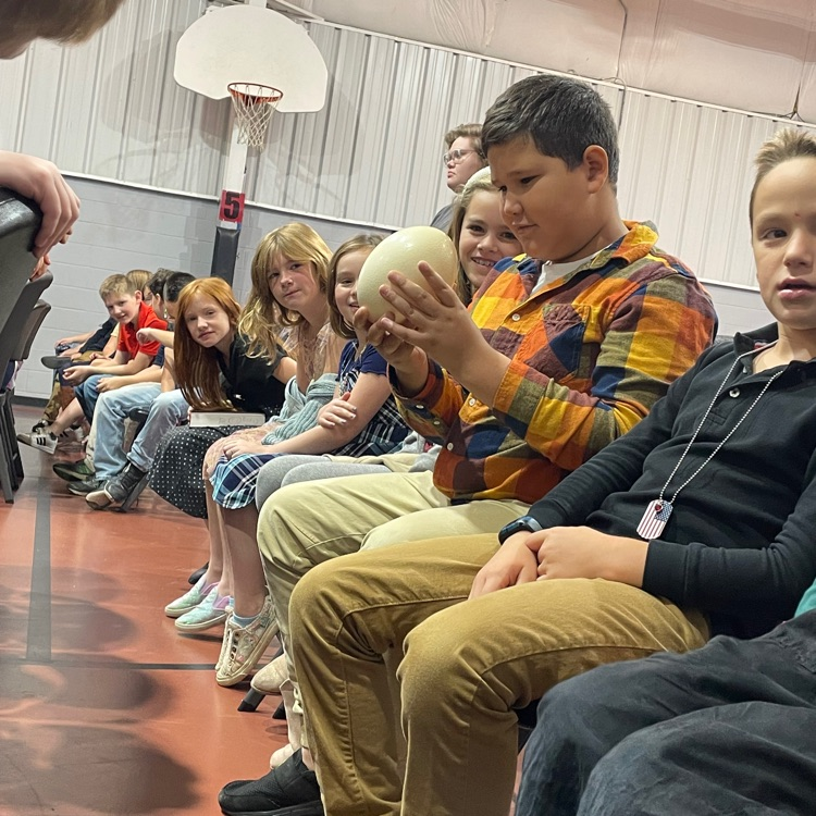 touching an ostrich egg