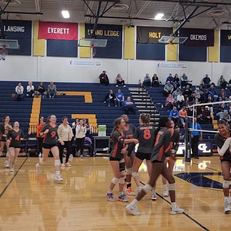 volleyball
