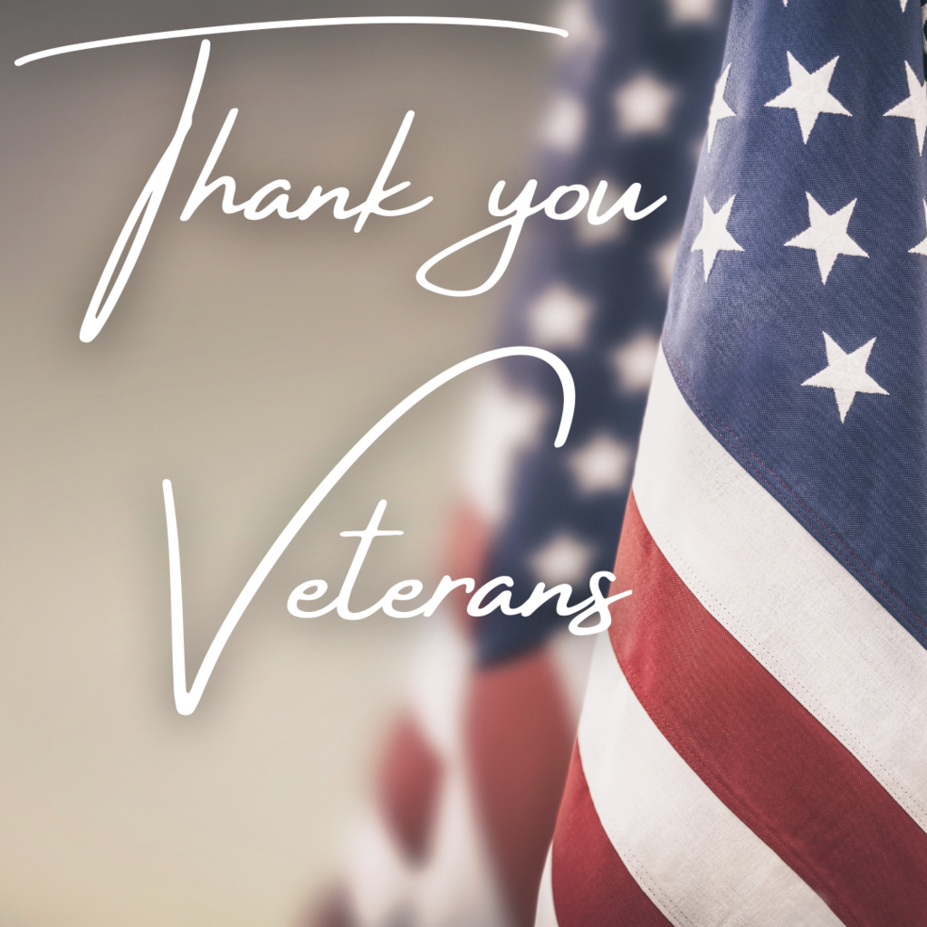 Thank you Veterans with an American Flag in the background