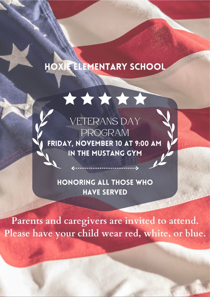 vererans day program 