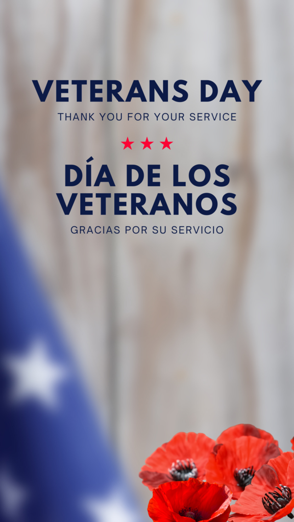 Veterans Day. Día de los Veteranos.
