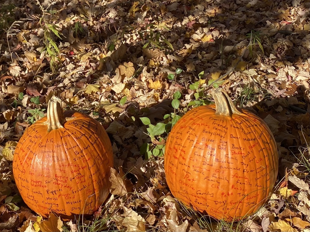 Thankful pumpkins