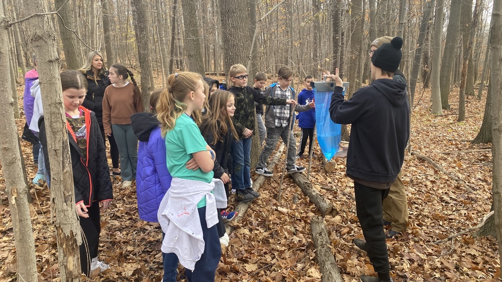 students in woods