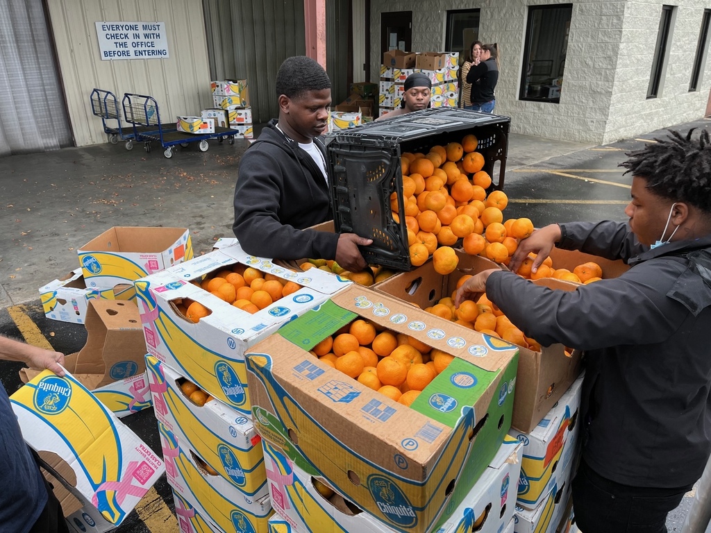 Satsuma Oranges