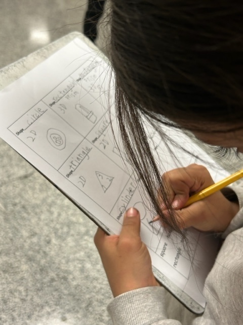 shape finding