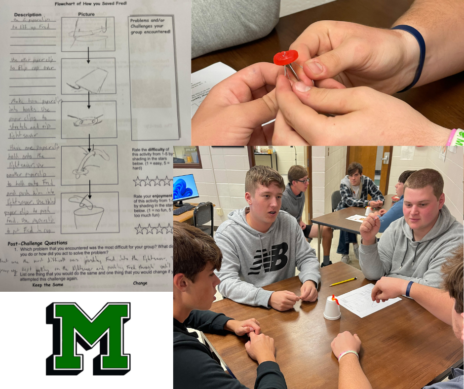 Business Management students complete the Save Fred design process activity