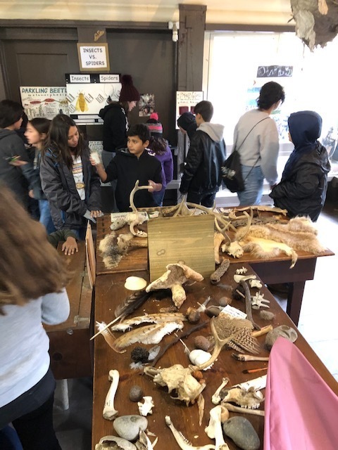 Hands on learning in the Discovery Hut.