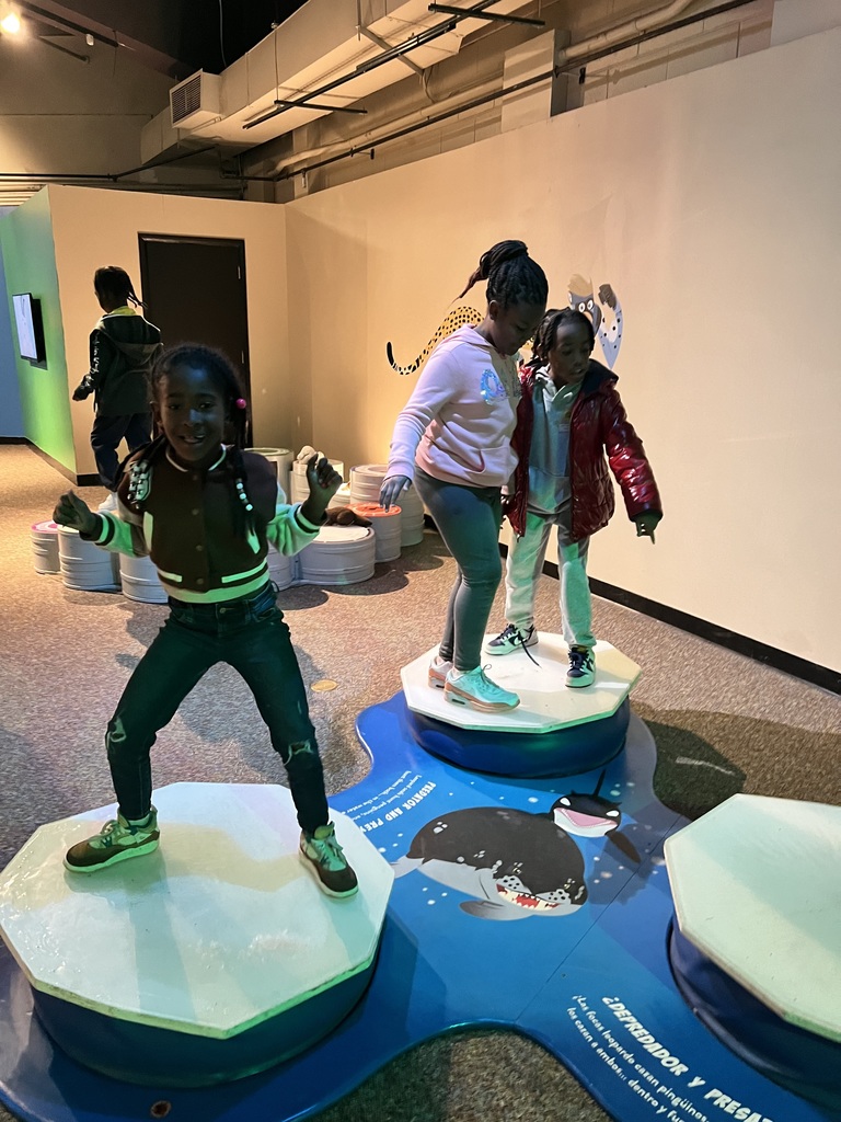 Students pretend to be penguins escaping predators.