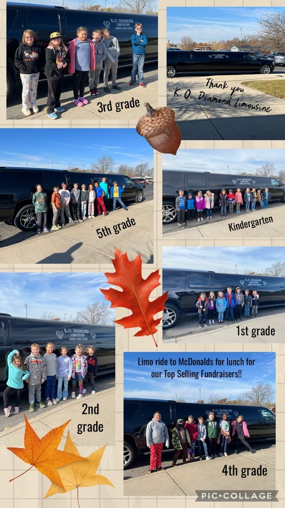 Collage of students with limo