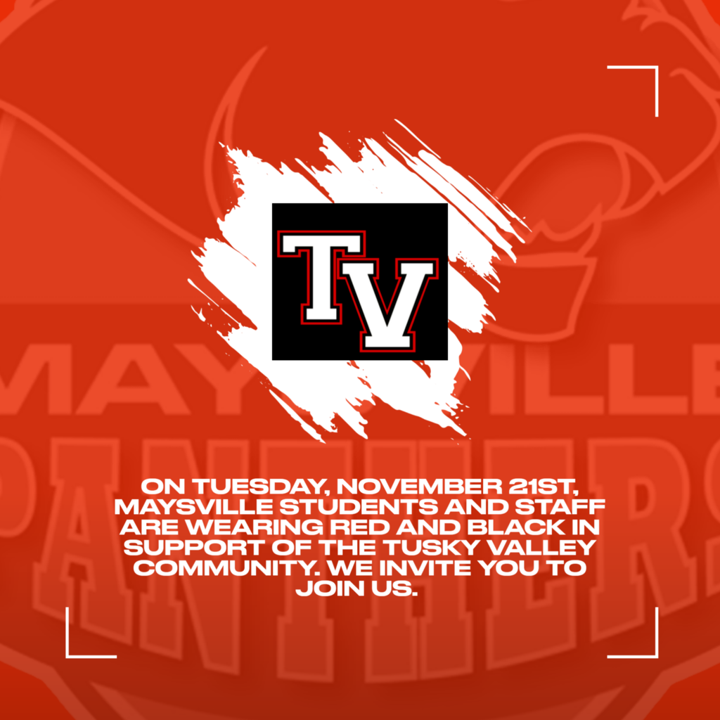 TV support 