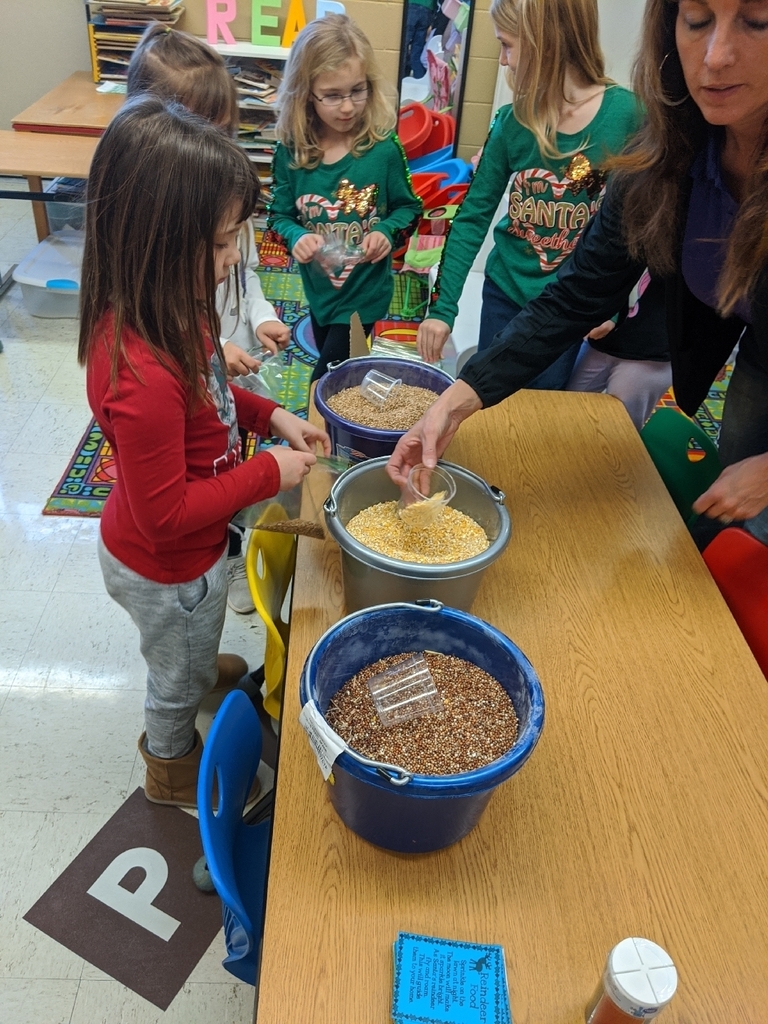 Reindeer food