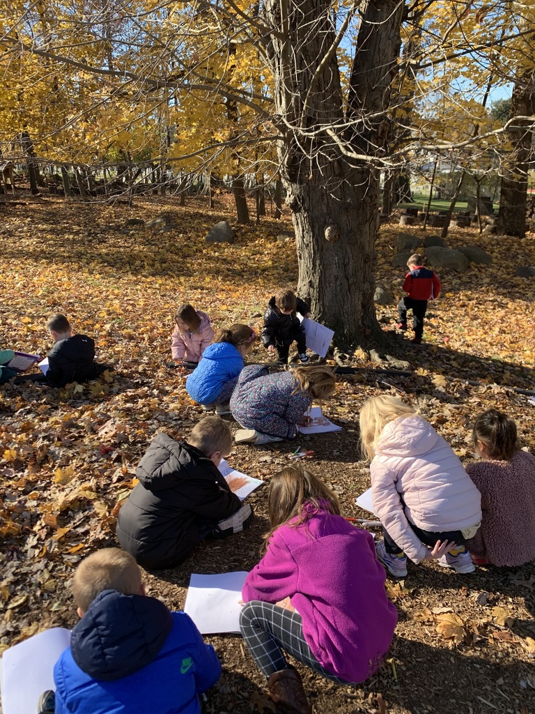 children observing tree