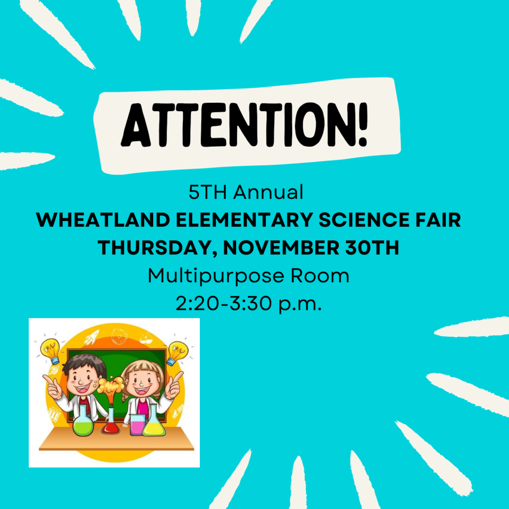 Science Fair