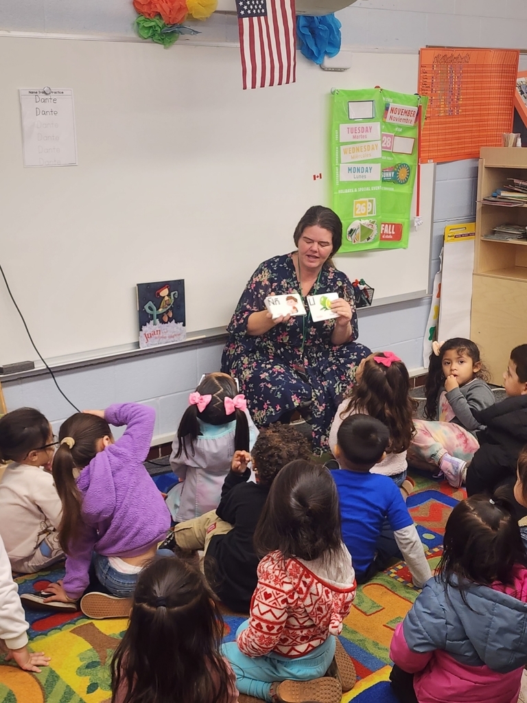 Reviewing phonics cards