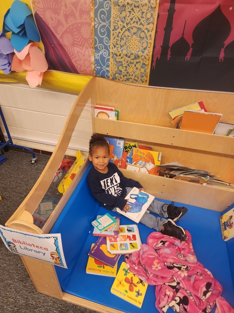 Student reading a book