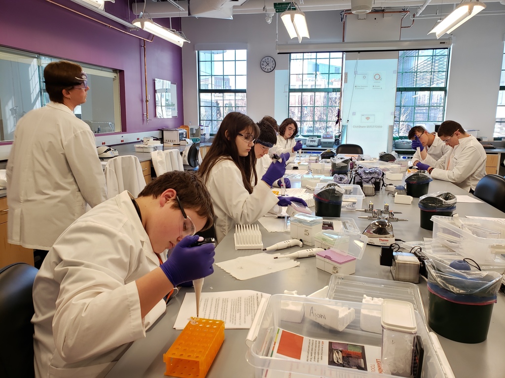 Students demonstrating proper use of personal protective equipment: Lab coats, safety glasses, gloves. 