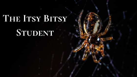 itsy bitsy student