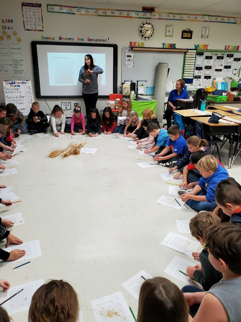 Counting our wheat seeds