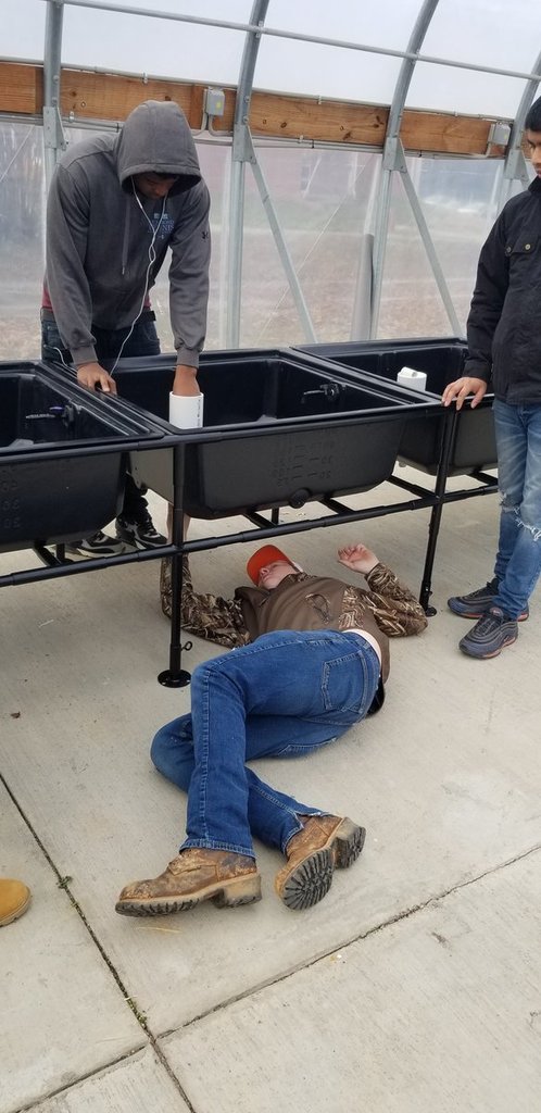 Ag & Carpentry- Aquaponics