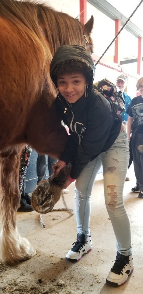 Lonesome Dove Equestrian Center