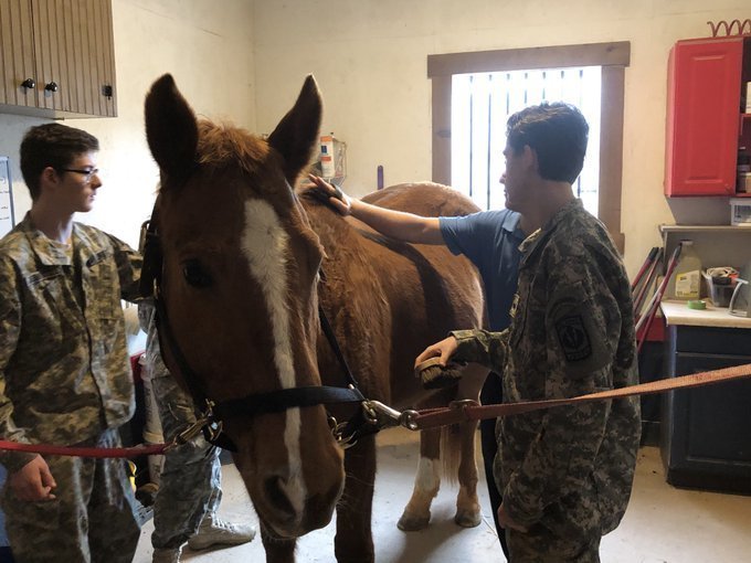 Lonesome Dove Equestrian Center