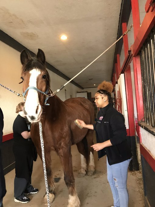 Lonesome Dove Equestrian Center