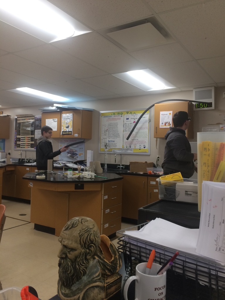 roller coaster construction