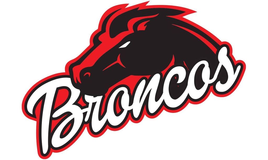 Bronco Mascot