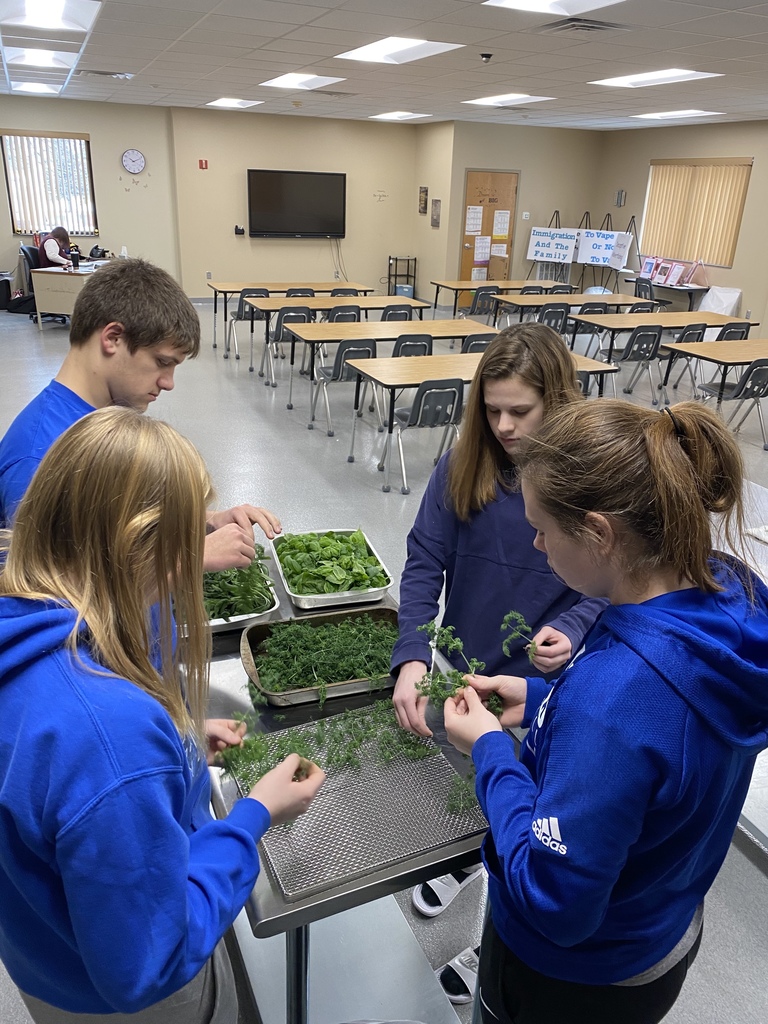Horticulture class drying herbs