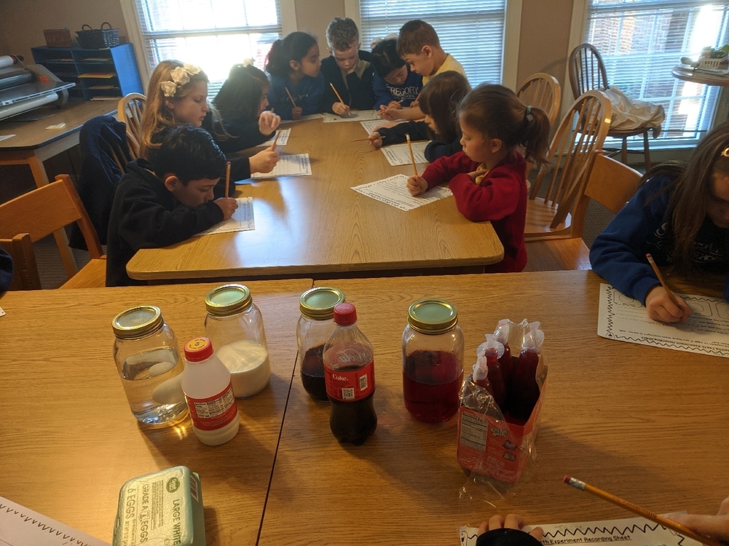 First grade science