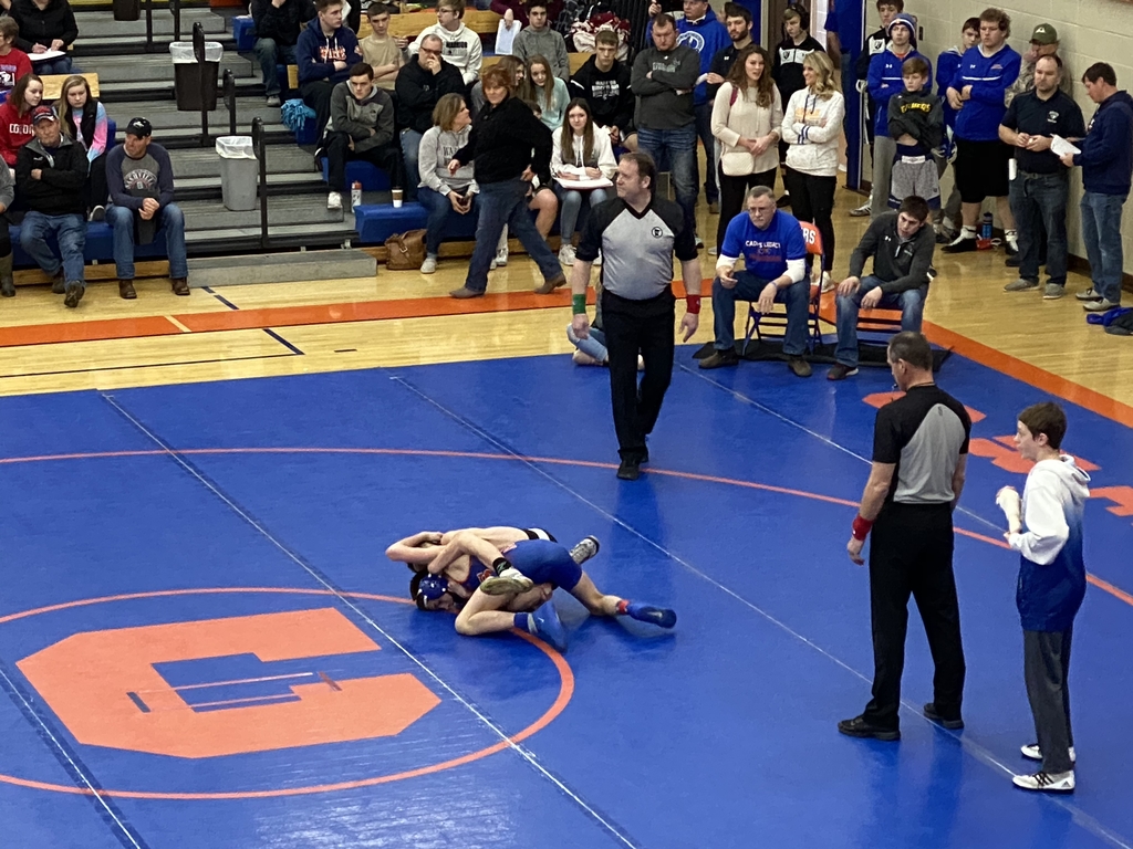 Section wrestling Canby