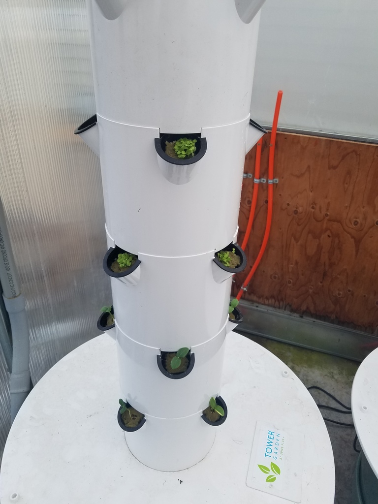 Grow tower in the greenhouse
