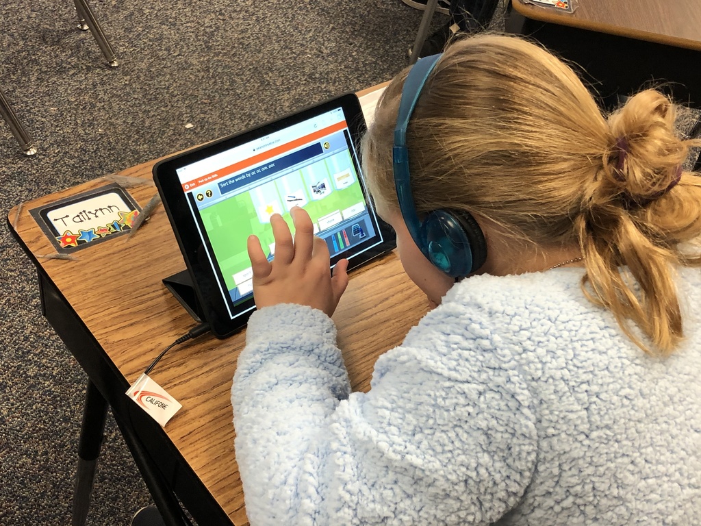 Student Learning on an iPad