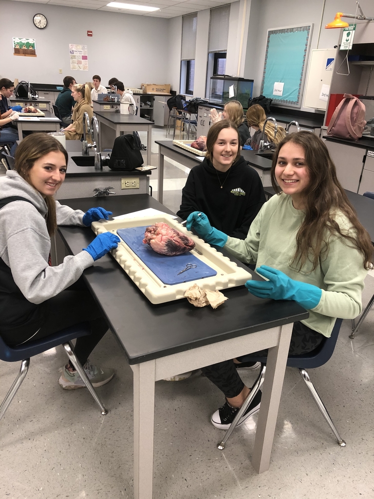 Heart Dissection