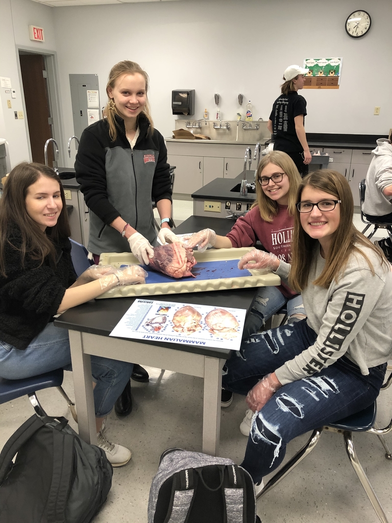 Heart Dissection
