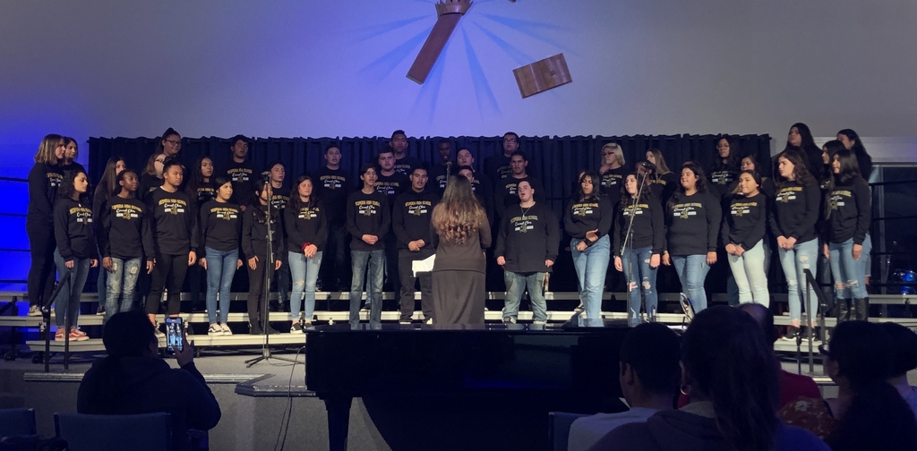 Concert choir