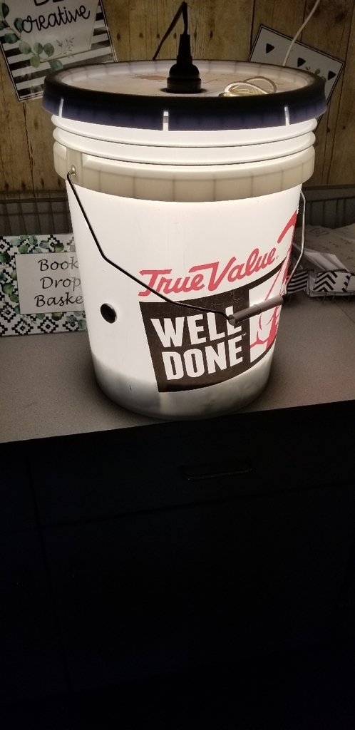 5 gallon bucket incubator!