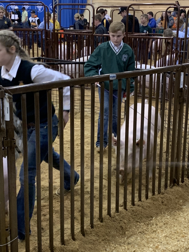 Easton Rhoades with his class 1 Yorkshire gilt