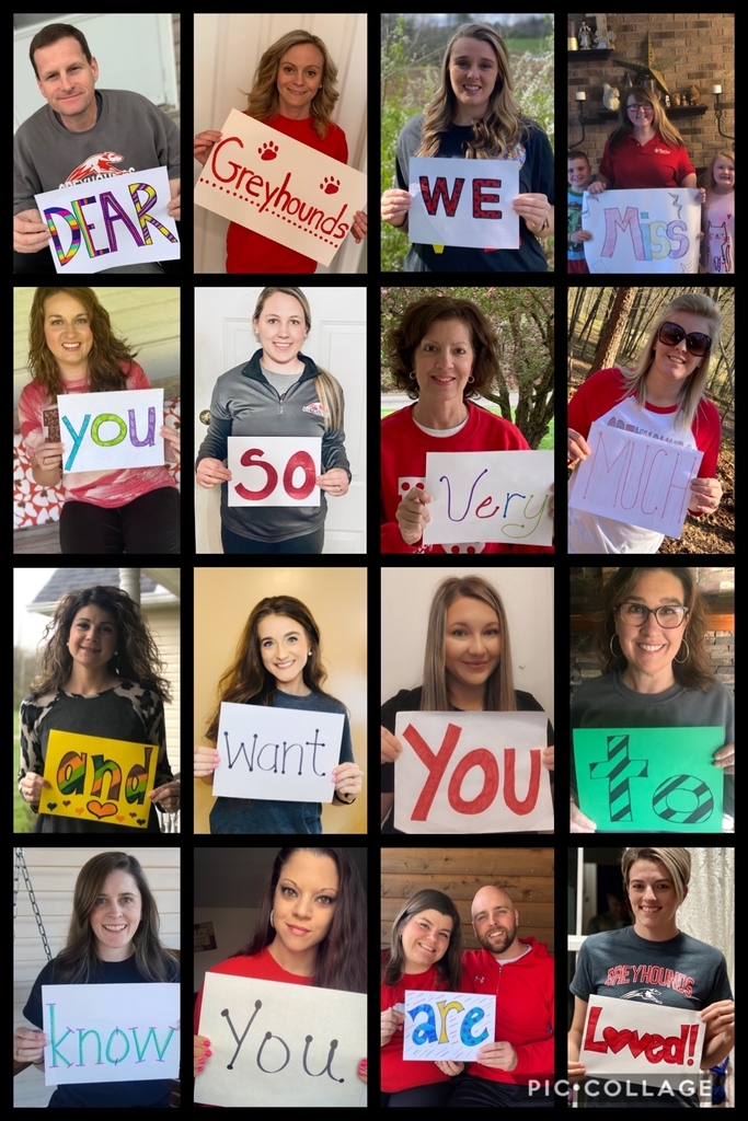 Dear Greyhounds