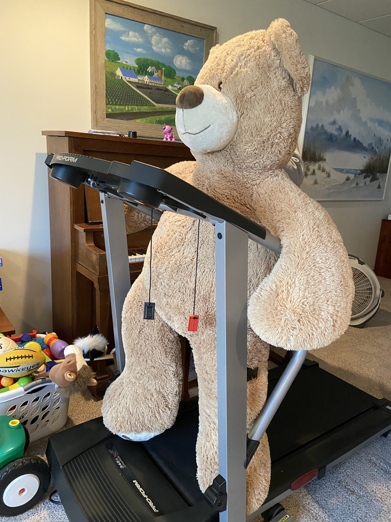 Teddy Bear on a treadmill.