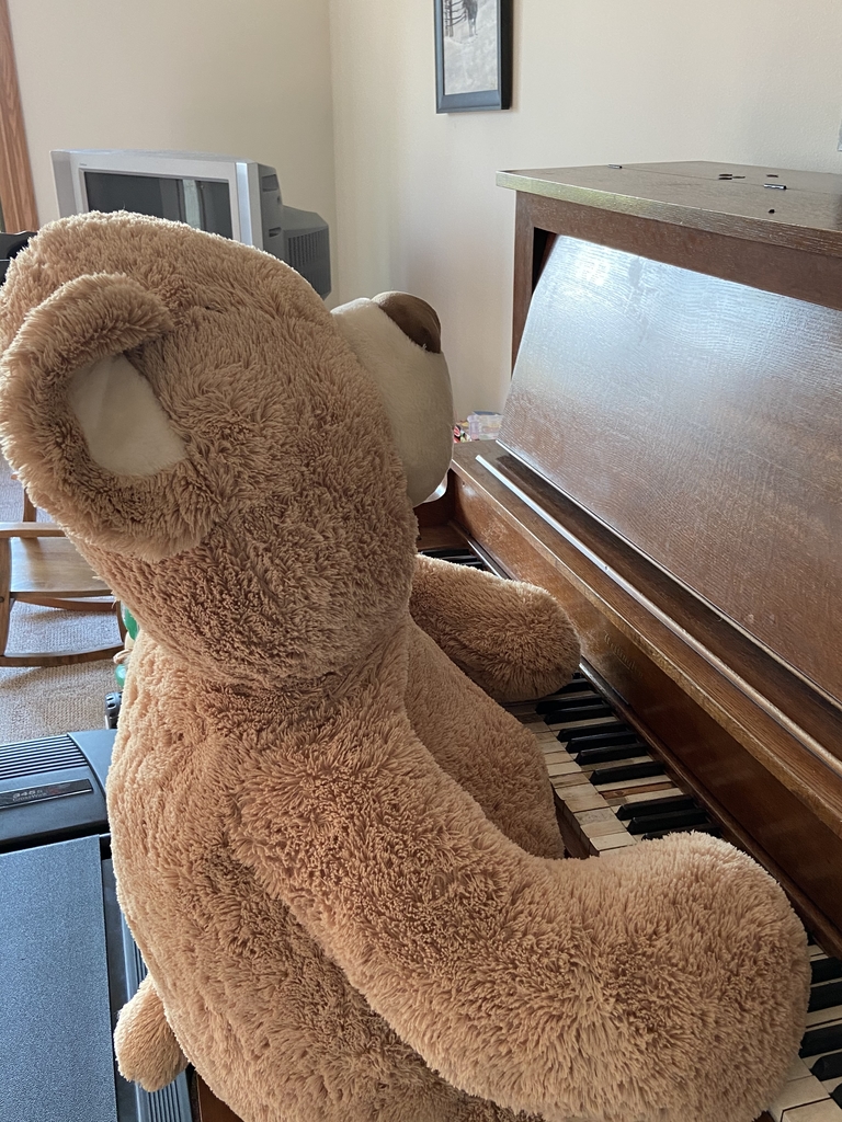 Teddy Bear playing a piano.